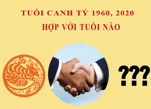 canh tý hợp tuổi nào