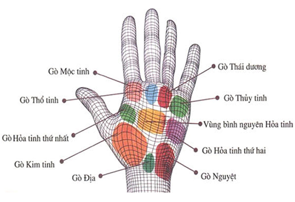 Vân tay đôi khi báo trước tương lai cho bạn