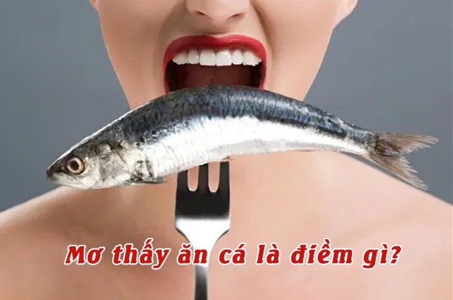 Mơ thấy ăn cá là điềm gì tốt hay xấu