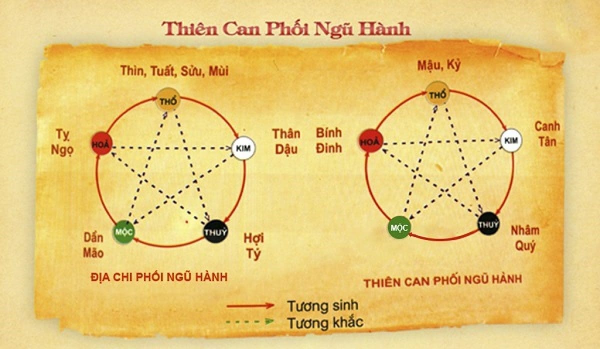 Thiên can ngày và tuổi dung hòa khởi đầu suôn sẻ